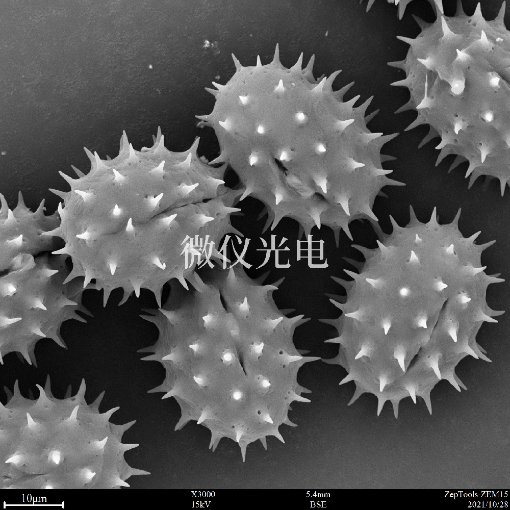 sem掃描電鏡的原理、組成、基本參數(shù)和應(yīng)用的介紹